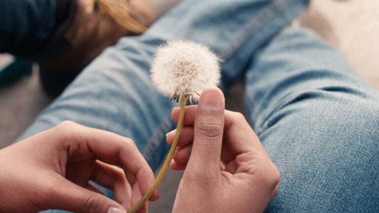 “16 DAYS 16 FILMS” Announces 2024 Festival Jury and confirms selected works